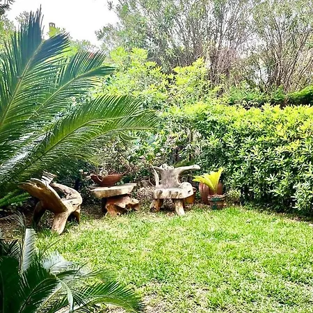 Avec Jardin « le Meridien »