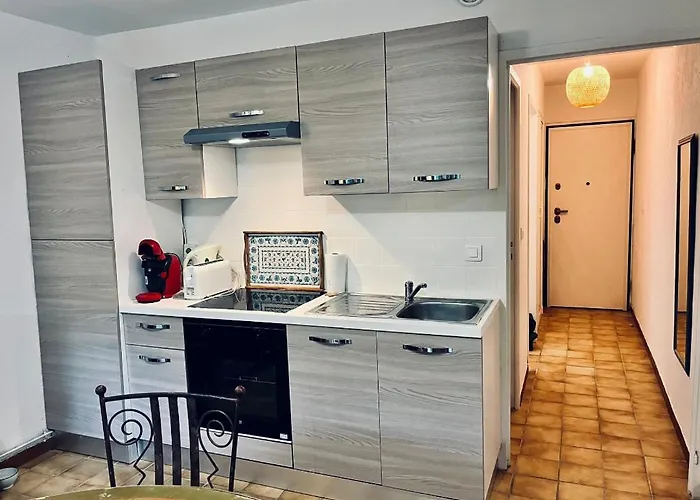 Avec Jardin   le Méridien  Appartement