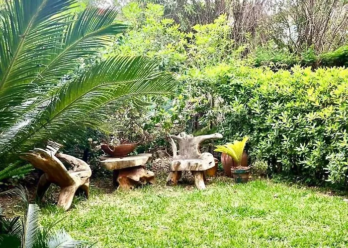 Avec Jardin   le Méridien 